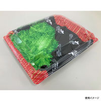 弁当容器　BFNアルバ8S-1平 滝縞LB本体　600枚(50枚×12) 028010861A105　シーピー化成（直送品）