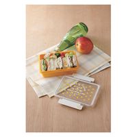 竹中 お弁当箱 長角弁当箱 1段 タイトランチ クコ 500ml オレンジ 274372 1個（直送品）