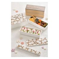 たつみや 箸箱セット HAKOYA 桜木目 スクエア 黒炭 箸 箸箱 ケース 18cm ホワイト 316721 1個（直送品）