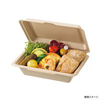 ケーピープラテック KB-52 ナチュラル 400枚(50枚×8) 54723 1ケース(400枚入(50枚×8袋))（直送品）