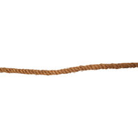 近江屋ロープ 棕櫚縄 10mm×50m shuro10×50 1巻（直送品）