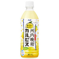 アサヒ飲料 「愛媛県産河内晩柑＆カルピス」 500ml 1セット（48本）