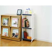 天馬 収納ラック ルームラック プロフィックス PROFIX Lサイズ キッチンラック 組み合わせ ブラウン 224284 1個（直送品）