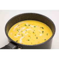 貝印 片手鍋 とっても軽い片手鍋 16cm IH対応 ガラス蓋付き 287640 1個（直送品）