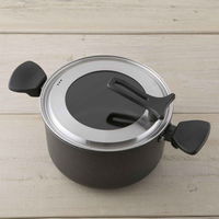 貝印 両手鍋 とっても軽い両手鍋 22cm IH対応 ガラス蓋付き 287643 1個（直送品）