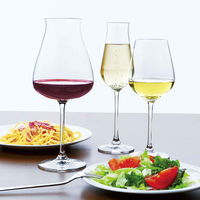 東洋佐々木ガラス ワイングラス 420ml DESIRE デザイアー ガラス製 羽模様付 319623 1個（直送品）