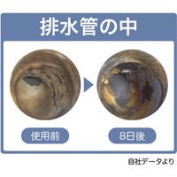 ビッグバイオ ヌメリのち晴れ排水管用 50錠入り 4540094411390 1セット(1個×6)