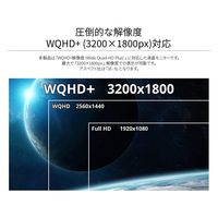 【在庫限り終了】JAPANNEXT 13.3インチ ワイド モバイルディスプレイ JN-MD-IPS133WQHDP 1個