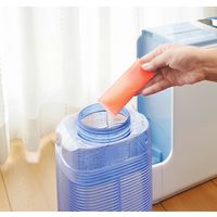 ビッグバイオ ヨウ素でタンク除菌 加湿器・冷風扇用 4540094413745 1セット(1個×12)