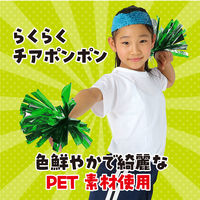 アーテック らくらくチアポンポン グリーンシルバー 14813 1セット(5組)