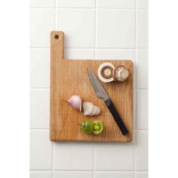 貝印 ペティナイフ O.E.C. 脇雅世 ユーティリティーナイフ 95mm 波刃 2本セット 295107 1個（直送品）