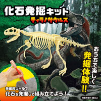 アーテック 化石発掘キット ティラノサウルス 9472 1セット（直送品）