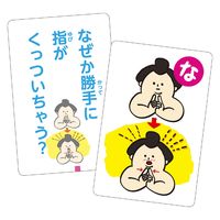 アーテック からだの不思議かるた 9529 1セット(3個)