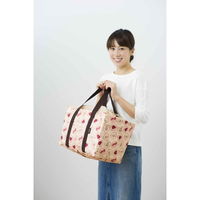 トーン エコバッグ 折り畳み レジカゴ用バッグ 保冷機能付き ブラウン 335680 1個（直送品）