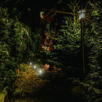 トレードワン ソーラーガーデングラスライトジェムタイプ1セット(8個) 30534 1セット(8個)（直送品）