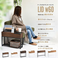 B.Bファニシング Lidプランターボックス 幅600×奥行160×高さ440mm ナチュラル ONPT0087TENAT 1台（直送品）