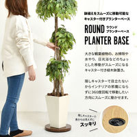 B.Bファニシング ラウンド プランターベース 幅300×奥行300×高さ37mm ブラウン ONPT0106MEBRN 1台（直送品）
