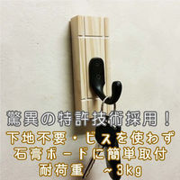 ライフサーブ LS Coat Hook2個入り ソフトグリーン 4573316050374 1セット（直送品）