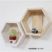 ライフサーブ LS イージーラック ヘキサゴン 無塗装 4573316050428 1個（直送品）