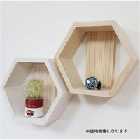 ライフサーブ LS イージーラック ヘキサゴン ピンク 4573316050459 1個（直送品）