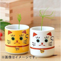 聖新陶芸 聖新 GD-91401 オメデタオチョコ 招き 白 赤松　1個（直送品）