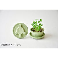 聖新陶芸 聖新 GD-94801 PLANTSMINE四葉のクローバー　1個（直送品）