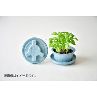 聖新陶芸 聖新 GD-94802 PLANTS MINE バジル　1個（直送品）