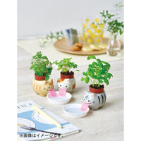 聖新陶芸 聖新 GD-94901ペロポンキャッツ ミケネコ ストロベリー　1個（直送品）