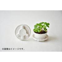 聖新陶芸 聖新 GD-94803 PLANTSMINEワイルドストロベリー　1個（直送品）