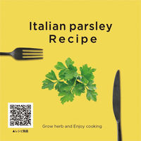 聖新陶芸 聖新 GD-95102 レシピ付栽培セットイタリアンパセリ　1セット（直送品）