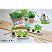 聖新陶芸 聖新 GD-95201 エコポケット ハーブコレクション 1個（直送品）