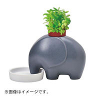 聖新陶芸 聖新 GD-95501 エレプラント グレー/アップルミント　1個（直送品）