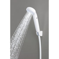 KVK KV PZS320 浄水シャワーヘッドegg エッグ 1個（直送品）