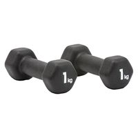 adidas（アディダス） ダンベル（ペア） 1kg ADWT11401 1セット(2個入)