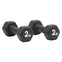 adidas（アディダス） ダンベル（ペア） 2kg ADWT11402 1セット(2個入)