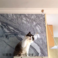 ベムパートナー ベム AW-C-020 ねこじゃらしDX ピンクW 1本（直送品）