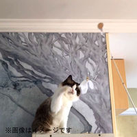 ベムパートナー ベム AW-C-020 ねこじゃらしDX イエローB 1本（直送品）