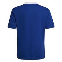 キッズ サッカー 半袖シャツ KIDS ENTRADA22 ジャージー J150 チームロイヤルブルー MBE20（直送品）