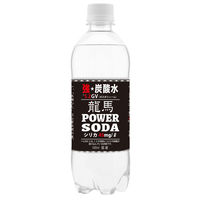 日本ビール 龍馬 POWER SODA PET 500ml 1セット（48本）