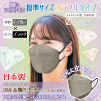 3D立体型マスク 5枚入 標準 ダークグレー/黒 3袋セット カラフル GBD-AS 1セット（3袋） エスパック（直送品）