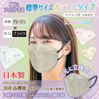 3D立体型マスク 5枚入 標準 グレージュ/黒 3袋セット カラフル JBD-AS 1セット（3袋） エスパック（直送品）