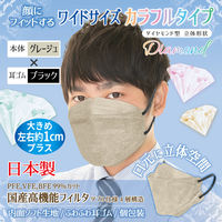 3D立体型マスク 5枚入 ワイド グレージュ/黒 3袋セット カラフル JBY-AS 1セット（3袋） エスパック（直送品）