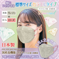 3D立体型マスク 5枚入 標準 グレージュ/ローズ 3袋セット カラフル JRD-AS 1セット（3袋） エスパック（直送品）