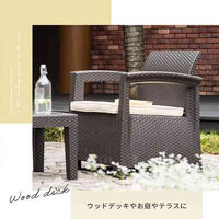 三栄コーポレーション ラタン調ガーデンソファ・テーブル 3点セット　グレー A1-LZN3SETBKGY 1セット（直送品）