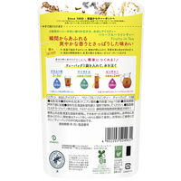 リプトン 水出しアイスティー ベリーフルーツインティー ティーバッグ 1袋（10バッグ入）