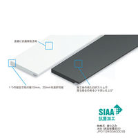 フクビ UB枠 戸建住宅用FSタイプ 引戸FS-165 3方枠セット 抗菌 ホワイト FS16S3W 1セット(縦枠×2本、横枠×1本)（直送品）