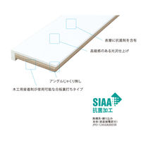 フクビ化学工業 UB枠 戸建住宅用URタイプ UR-163W 上枠 163×800mm 抗菌 UR16W8 1本（直送品）