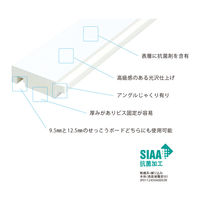 フクビ化学工業 UB枠 集合住宅用GSタイプ GS-78 横枠 78×1600mm 抗菌 GS8W16 1梱包(10本入)（直送品）