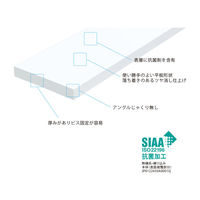 フクビ化学工業 UB枠 戸建住宅用FLタイプ FL-198 縦・横枠 198×800mm 抗菌 FL198 1梱包(5本入)（直送品）