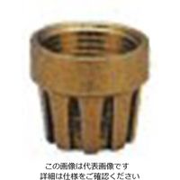 エスコ 1” フート用スクリーン(青銅製) EA465AH-110 1セット(5個)（直送品）